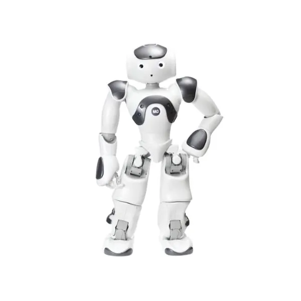 Programmierbarer humanoider Roboter NAO Version 6