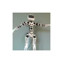Poppy Humanoid Robot  (with 3D parts)