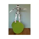 Poppy Humanoid Robot  (with 3D parts)