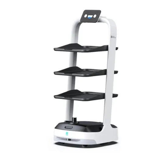 Robot assistant universel PuduBot 2