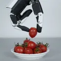 Mano robotica RH56E2