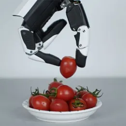 Mano robotica RH56E2