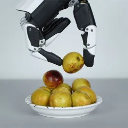 Mano robotica RH56E2