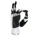 RH56DFX Robotic Hand
