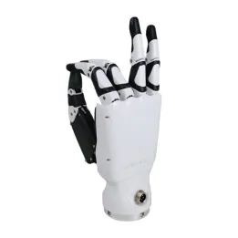 RH56DFX Robotic Hand