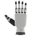 Main robotique RH56BFX