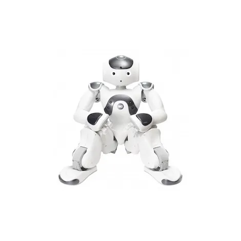 Robot humanoïde NAO