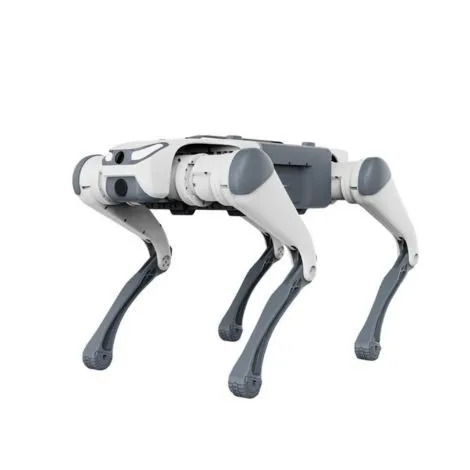 Robots quadrupèdes Deep Robotics