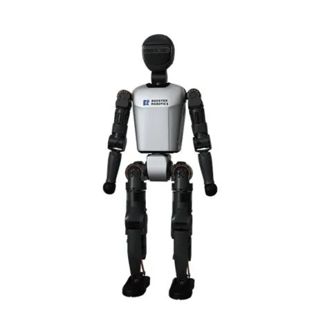 Robots humanoïdes Booster Robotics